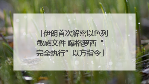 伊朗首次解密以色列敏感文件 曝格罗西“完全执行”以方指令