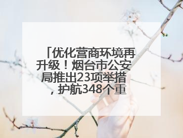 优化营商环境再升级！烟台市公安局推出23项举措，护航348个重点项目