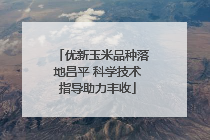 优新玉米品种落地昌平 科学技术指导助力丰收