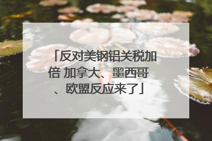 反对美钢铝关税加倍 加拿大、墨西哥、欧盟反应来了