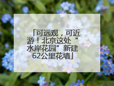 可远观，可近游！北京这处“水岸花园”新建62公里花墙