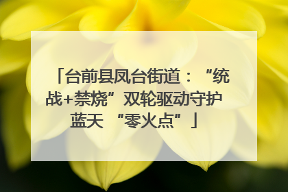 台前县凤台街道：“统战+禁烧”双轮驱动守护蓝天 “零火点”