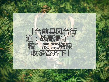 台前县凤台街道：战高温守“粮”辰 禁烧保收多管齐下