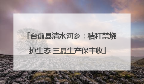 台前县清水河乡：秸秆禁烧护生态 三夏生产保丰收