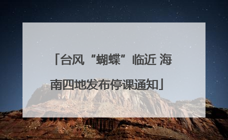 台风“蝴蝶”临近 海南四地发布停课通知