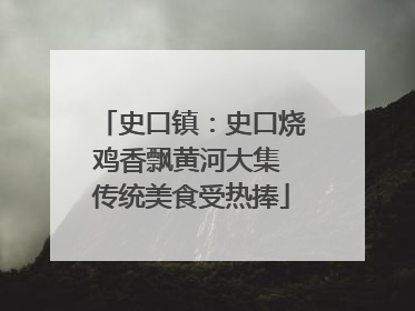 史口镇：史口烧鸡香飘黄河大集 传统美食受热捧