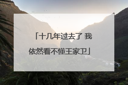 十几年过去了 我依然看不懂王家卫