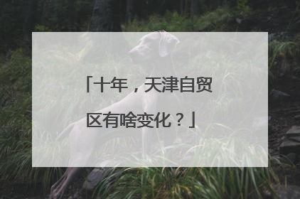 十年，天津自贸区有啥变化？