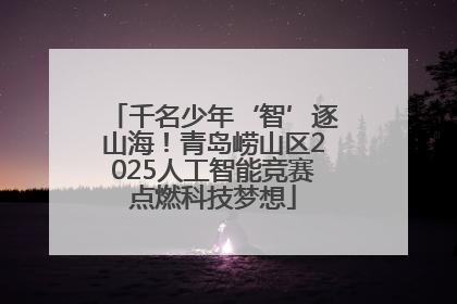 千名少年‘智’逐山海！青岛崂山区2025人工智能竞赛点燃科技梦想