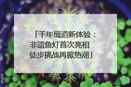 千年蜀道新体验：非遗鱼灯首次亮相 徒步挑战再掀热潮