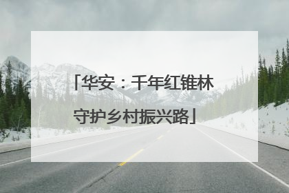 华安：千年红锥林守护乡村振兴路