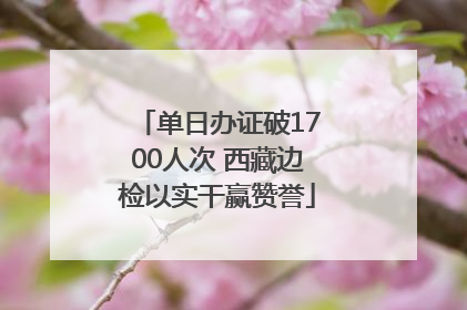 单日办证破1700人次 西藏边检以实干赢赞誉