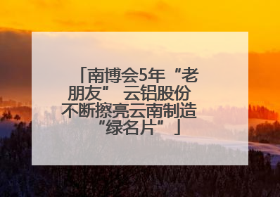 南博会5年“老朋友” 云铝股份不断擦亮云南制造“绿名片”