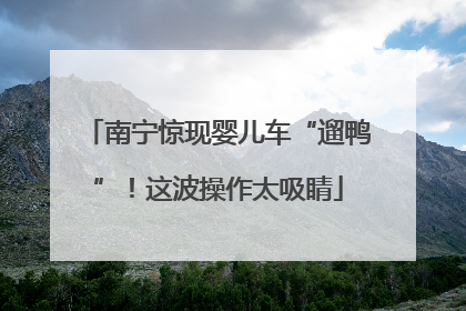 南宁惊现婴儿车“遛鸭”！这波操作太吸睛