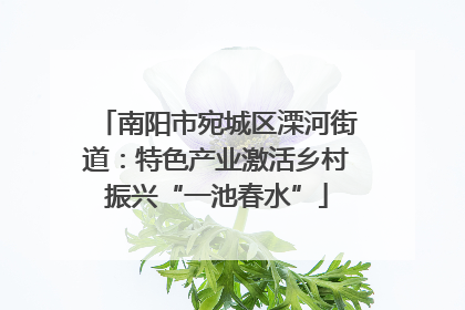 南阳市宛城区溧河街道：特色产业激活乡村振兴“一池春水”