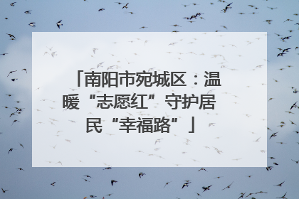 南阳市宛城区：温暖“志愿红”守护居民“幸福路”