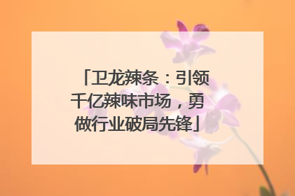 卫龙辣条：引领千亿辣味市场，勇做行业破局先锋