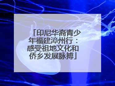印尼华裔青少年福建漳州行：感受祖地文化和侨乡发展脉搏