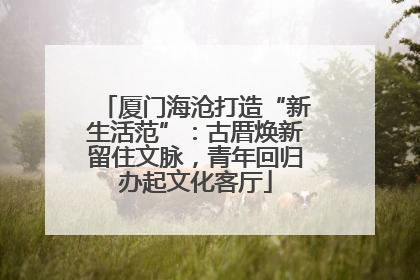 厦门海沧打造“新生活范”：古厝焕新留住文脉，青年回归办起文化客厅