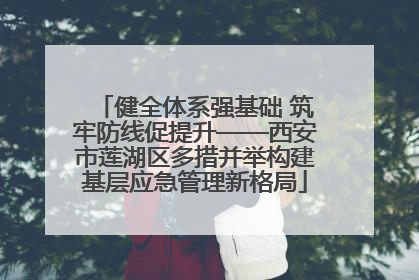 健全体系强基础 筑牢防线促提升——西安市莲湖区多措并举构建基层应急管理新格局