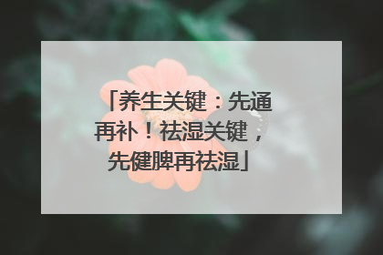 养生关键：先通再补！祛湿关键，先健脾再祛湿