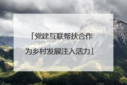 党建互联帮扶合作 为乡村发展注入活力