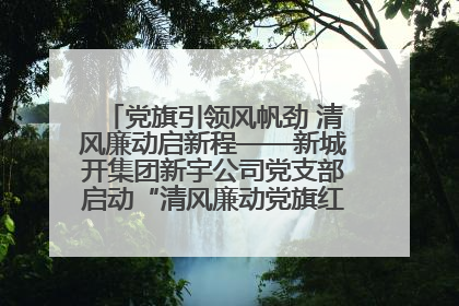 党旗引领风帆劲 清风廉动启新程——新城开集团新宇公司党支部启动“清风廉动党旗红”系列活动