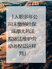 入职多年公司未缴纳社保 成都大邑法院依法维护劳动者权益这样判