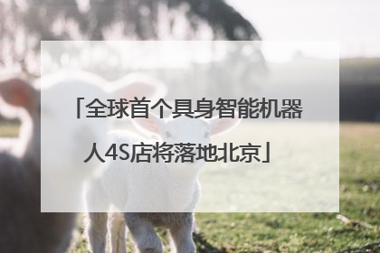 全球首个具身智能机器人4S店将落地北京