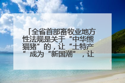 全省首部畜牧业地方性法规是关于“中华熊猫猪”的，让“土特产”成为“新国潮”，让“农产品”升格为“城市IP”