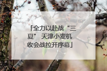 全力以赴战“三夏” 天津小麦机收会战拉开序幕