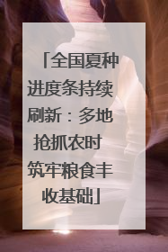 全国夏种进度条持续刷新：多地抢抓农时 筑牢粮食丰收基础