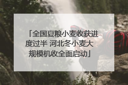 全国夏粮小麦收获进度过半 河北冬小麦大规模机收全面启动