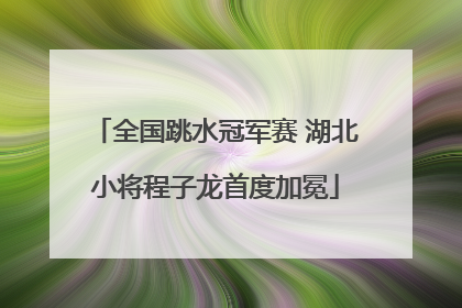 全国跳水冠军赛 湖北小将程子龙首度加冕