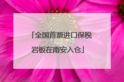 全国首票进口保税岩板在南安入仓