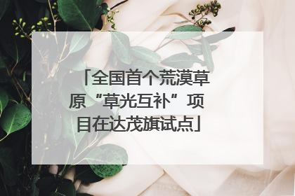 全国首个荒漠草原“草光互补”项目在达茂旗试点