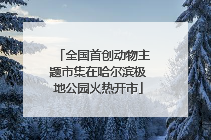 全国首创动物主题市集在哈尔滨极地公园火热开市