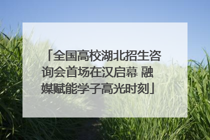 全国高校湖北招生咨询会首场在汉启幕 融媒赋能学子高光时刻