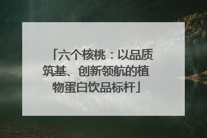 六个核桃：以品质筑基、创新领航的植物蛋白饮品标杆