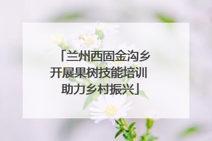 兰州西固金沟乡开展果树技能培训 助力乡村振兴