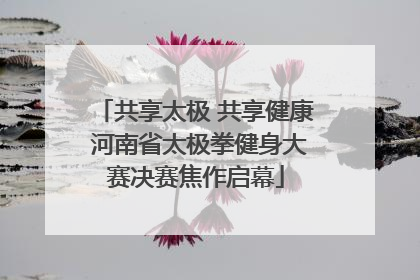 共享太极 共享健康 河南省太极拳健身大赛决赛焦作启幕