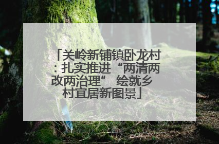 关岭新铺镇卧龙村：扎实推进“两清两改两治理” 绘就乡村宜居新图景