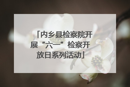 内乡县检察院开展“六一”检察开放日系列活动