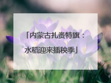 内蒙古扎赉特旗：水稻迎来插秧季