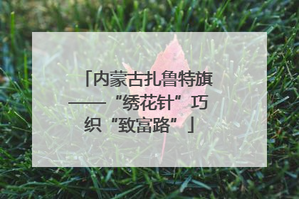 内蒙古扎鲁特旗——“绣花针”巧织“致富路”