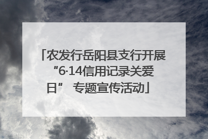 农发行岳阳县支行开展“6·14信用记录关爱日” 专题宣传活动