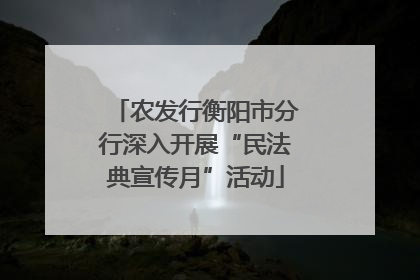 农发行衡阳市分行深入开展“民法典宣传月”活动