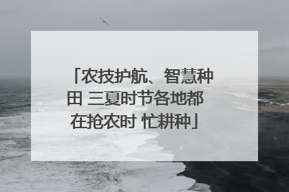 农技护航、智慧种田 三夏时节各地都在抢农时 忙耕种