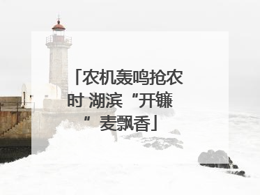 农机轰鸣抢农时 湖滨“开镰”麦飘香