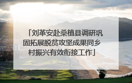 刘革安赴桑植县调研巩固拓展脱贫攻坚成果同乡村振兴有效衔接工作